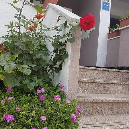 Affittacamere Hunter 3*