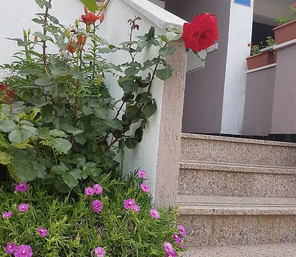 ゲストハウス Hunter 3*